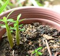 Child Care Incowbridge